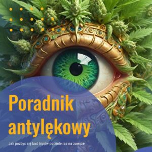 Poradnik antylękowy (e-book)