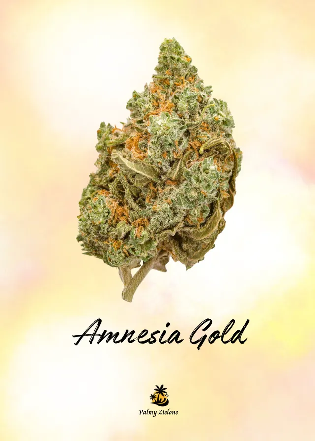 Karta kolekcjonerska Amnesia Gold