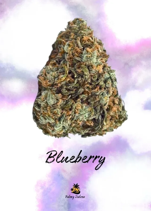 Karta kolekcjonerska Blueberry