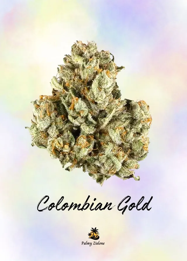 Karta kolekcjonerska Colombian Gold
