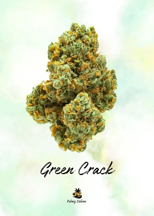 Karta kolekcjonerska Green Crack