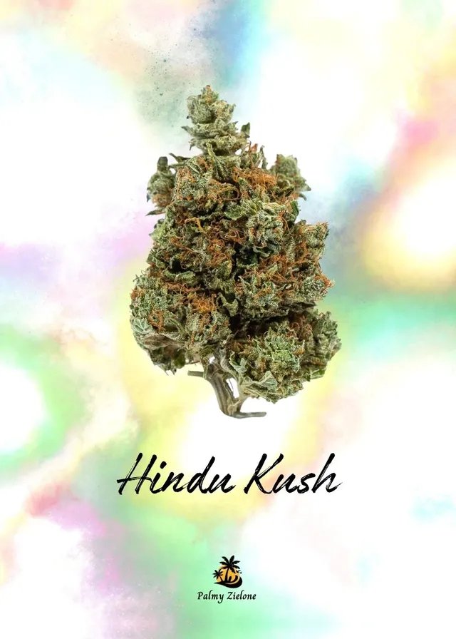 Karta kolekcjonerska Hindu Kush