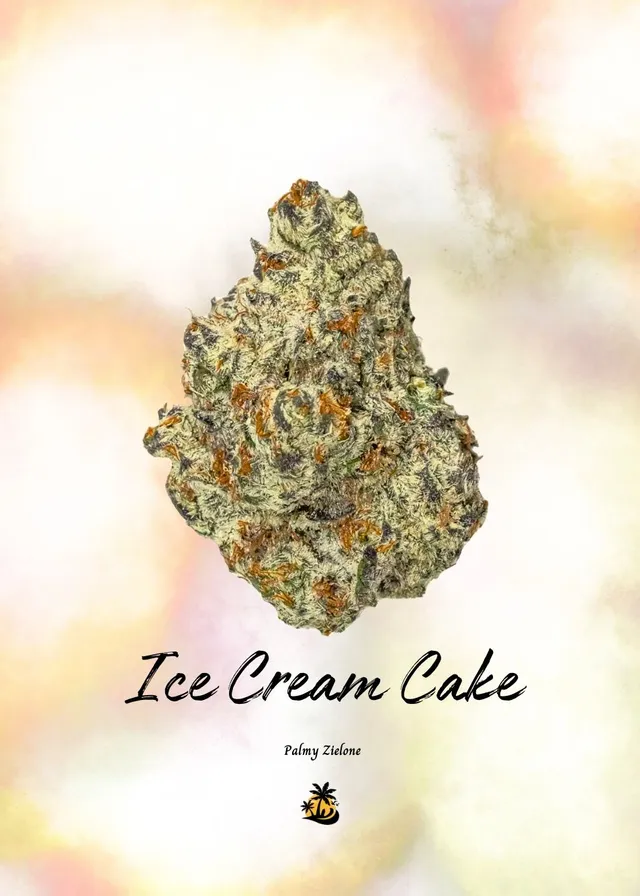 Karta kolekcjonerska Ice Cream Cake