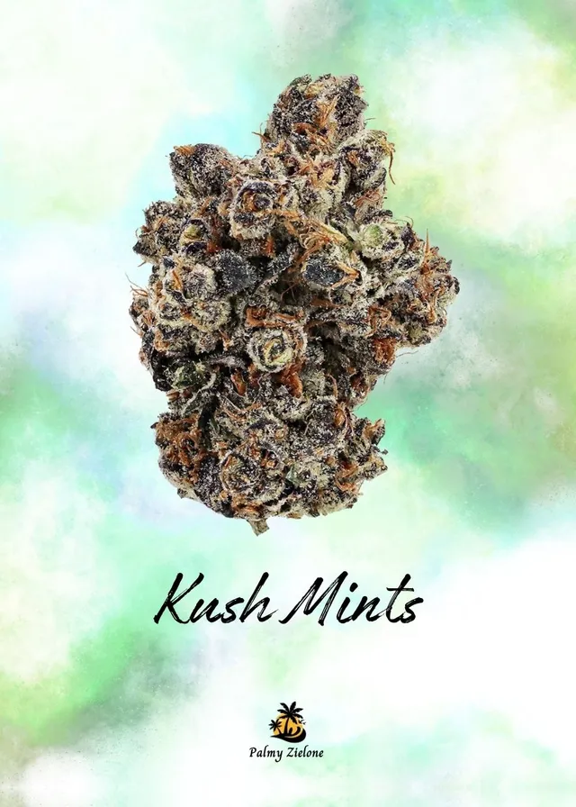 Karta kolekcjonerska Kush Mints