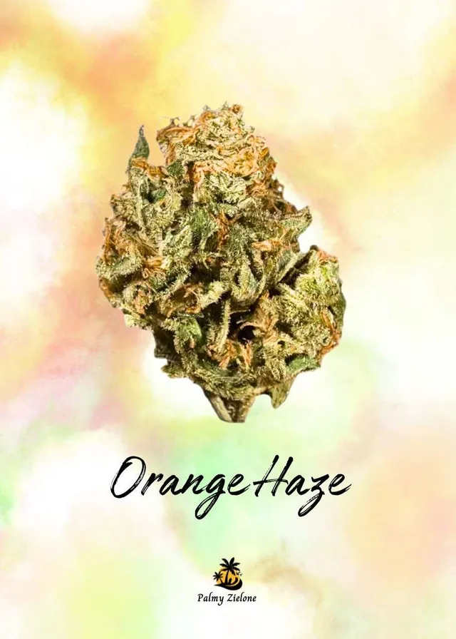 Karta kolekcjonerska Orange Haze