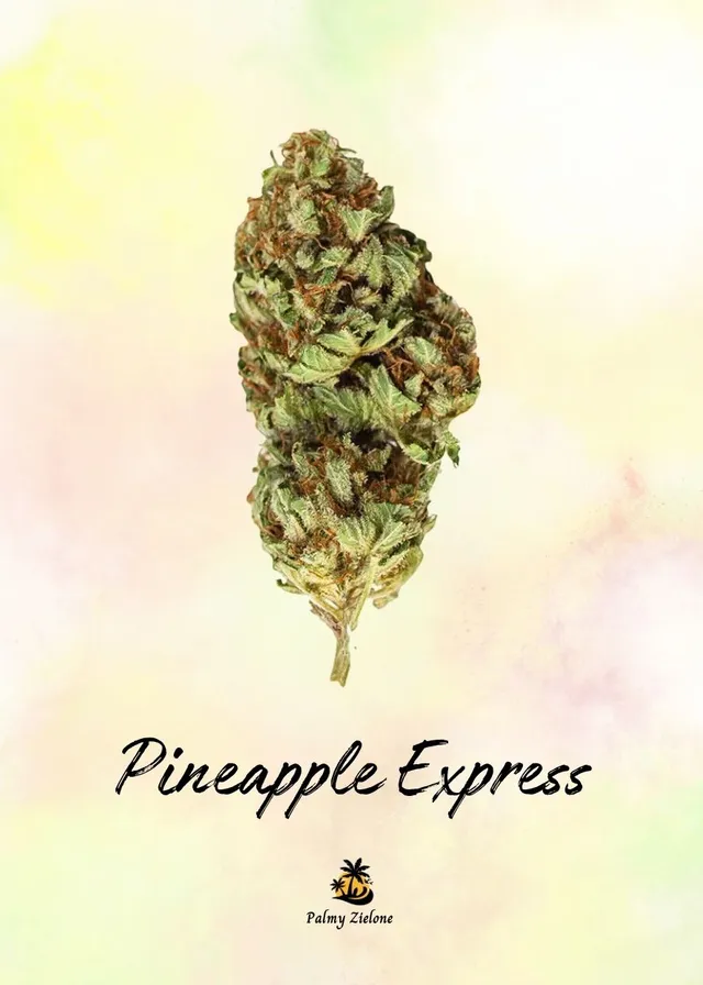 Karta kolekcjonerska Pineapple Express