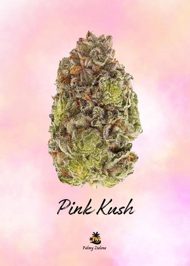 Karta kolekcjonerska Pink Kush