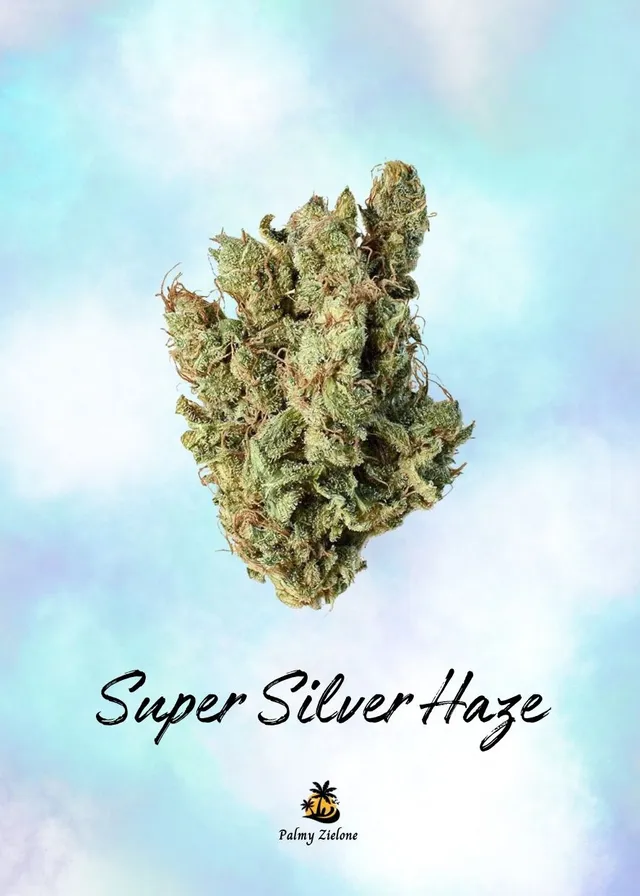 Karta kolekcjonerska Super Silver Haze