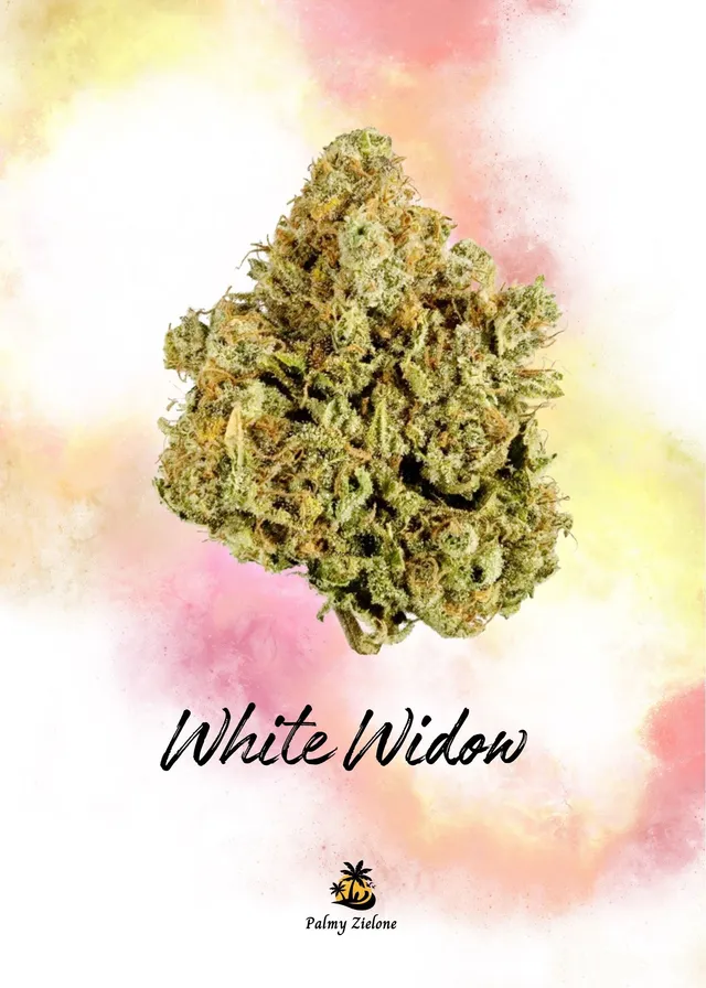Karta kolekcjonerska White Widow